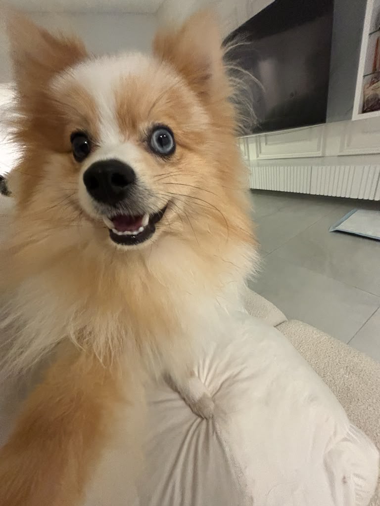 Vida sonriendo sobre un sofá claro