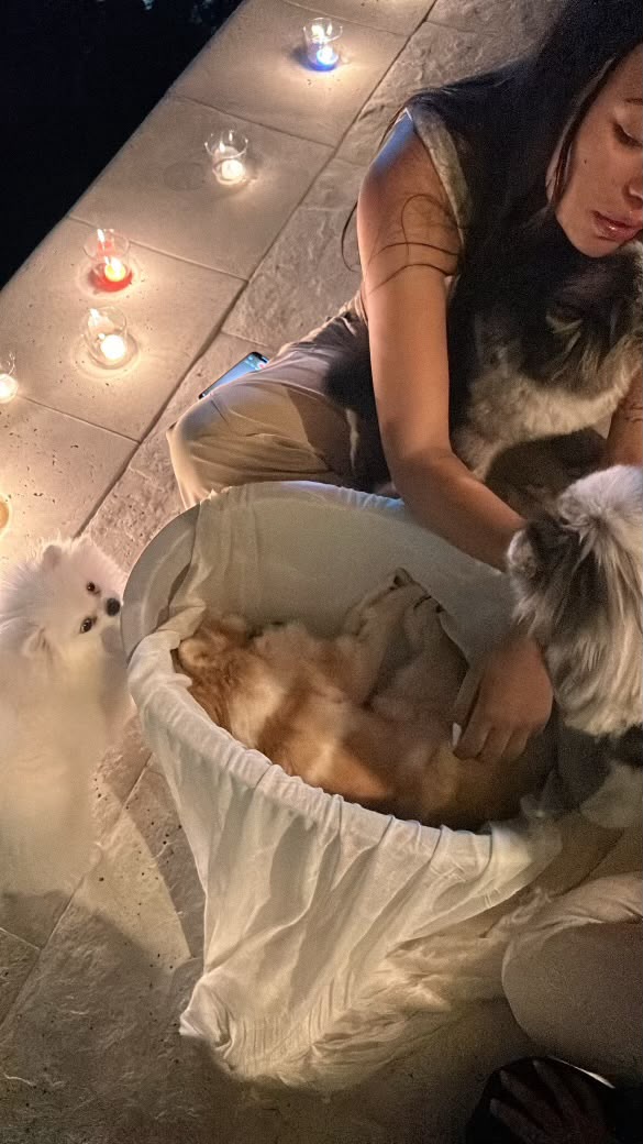 Mujer con varios perros alrededor de una cesta