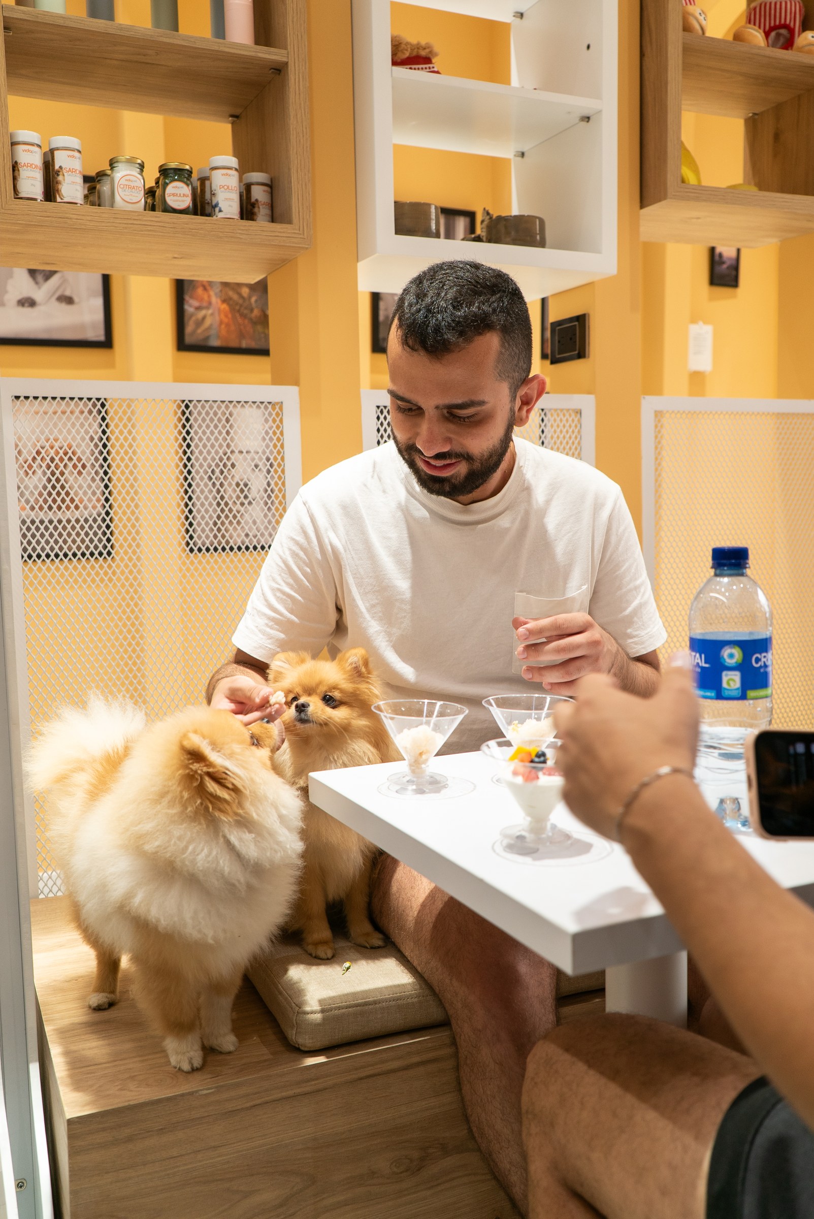 Celebración entre humanos y peluditos en el restaurante Vidapet